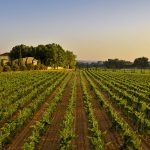 Turismo gastronómico en Cataluña: sabores con historias