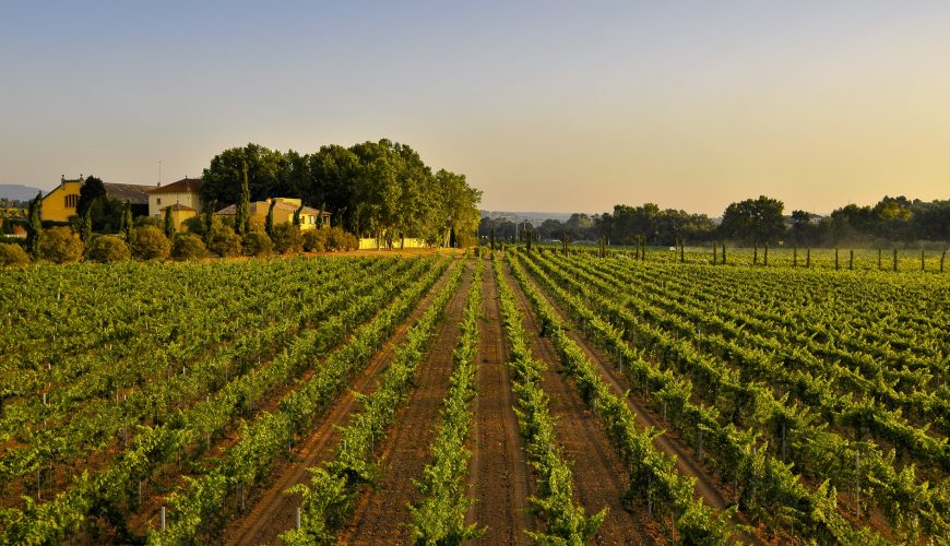 Turismo gastronómico en Cataluña: sabores con historias